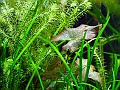 DSCF4953