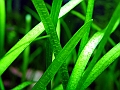 DSCF5019