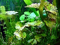 DSCF5615