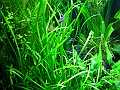 DSCF5627