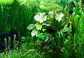 DSCF5649