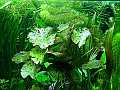 DSCF5689