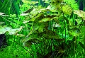 DSCF6523